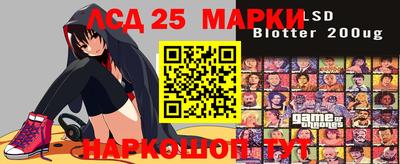 дмт Гатчина