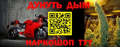 дмт Гатчина