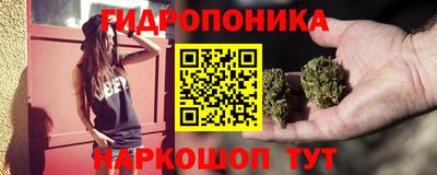 дмт Гатчина
