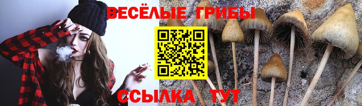 Кузнецк  Галлюциногенные грибы ЛСД  Вход с VPN  Галлюциногенные грибы прущие грибы 